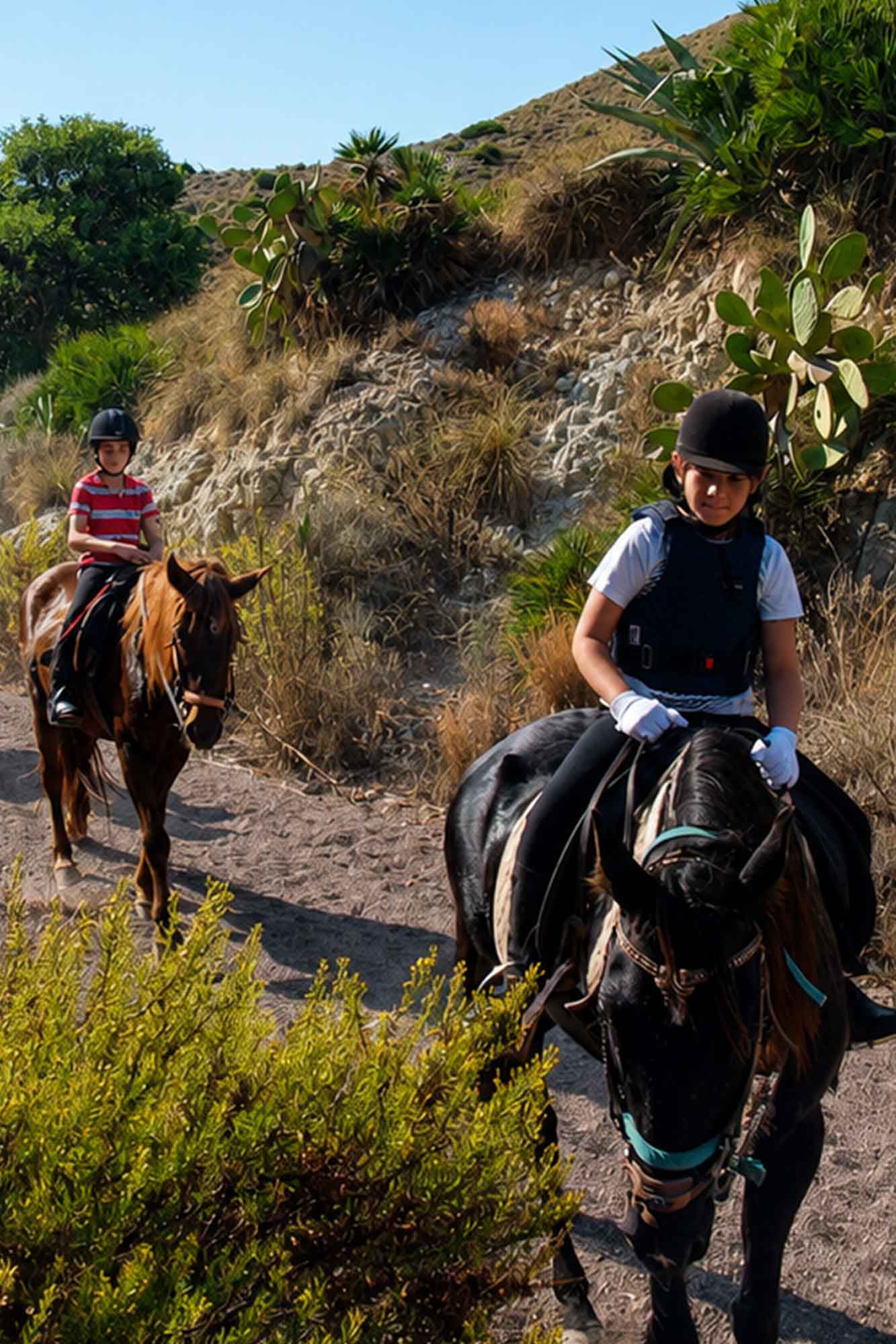 niños caballo park